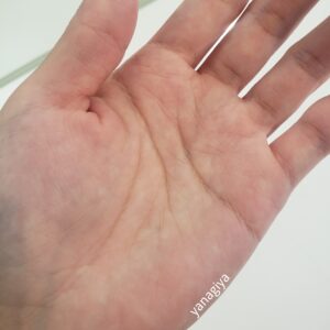 カネボウコンフォートストレッチィウォッシュで洗ってみたら肌にめちゃめちゃ透明感が出た！｜化粧品専門店柳屋